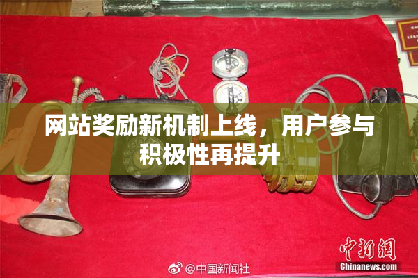 网站奖励新机制上线，用户参与积极性再提升