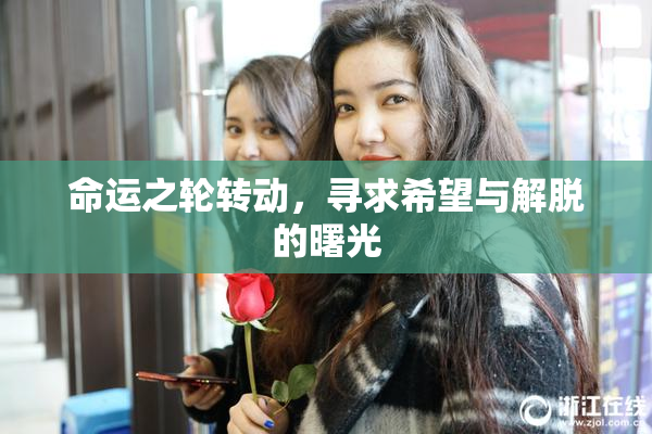 命运之轮转动，寻求希望与解脱的曙光