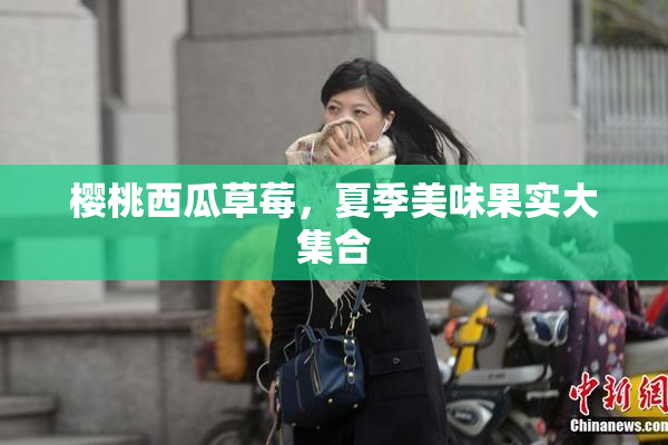 樱桃西瓜草莓，夏季美味果实大集合