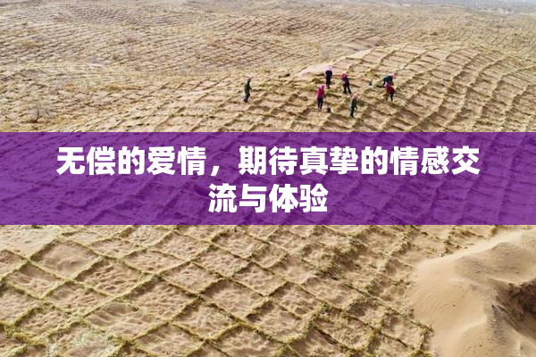 无偿的爱情，期待真挚的情感交流与体验
