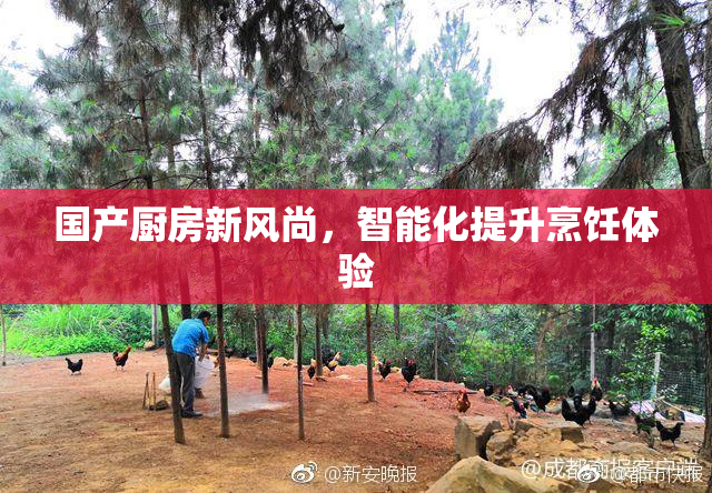 国产厨房新风尚，智能化提升烹饪体验