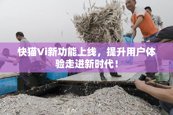 快猫Vi新功能上线，提升用户体验走进新时代！