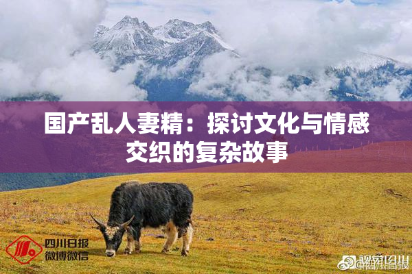 国产乱人妻精：探讨文化与情感交织的复杂故事