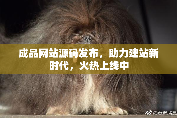 成品网站源码发布，助力建站新时代，火热上线中