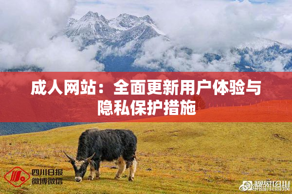 成人网站：全面更新用户体验与隐私保护措施