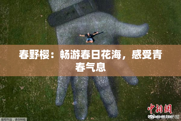 春野樱：畅游春日花海，感受青春气息