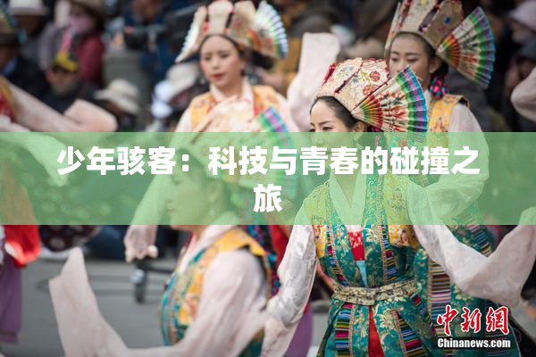 少年骇客：科技与青春的碰撞之旅