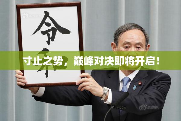 寸止之势，巅峰对决即将开启！