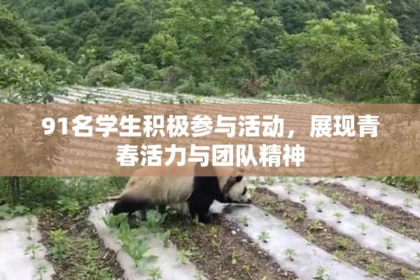 91名学生积极参与活动，展现青春活力与团队精神