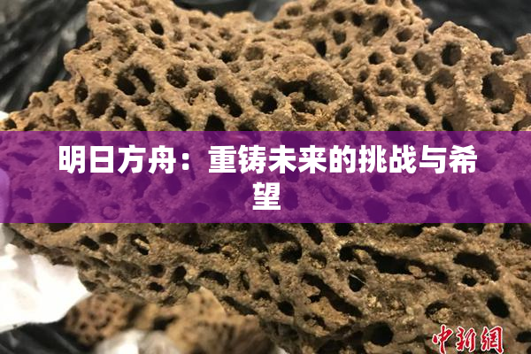 明日方舟：重铸未来的挑战与希望