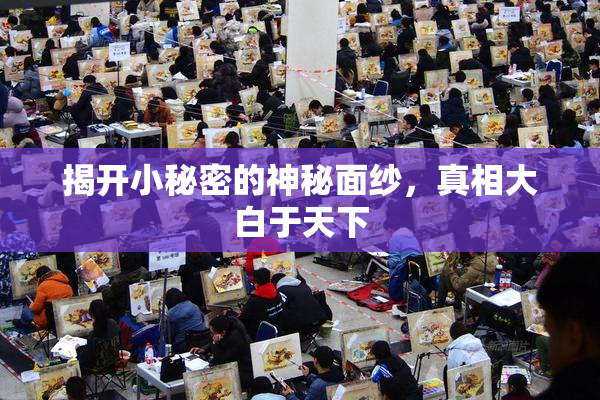 揭开小秘密的神秘面纱，真相大白于天下
