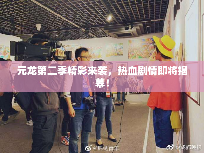 元龙第二季精彩来袭，热血剧情即将揭幕！
