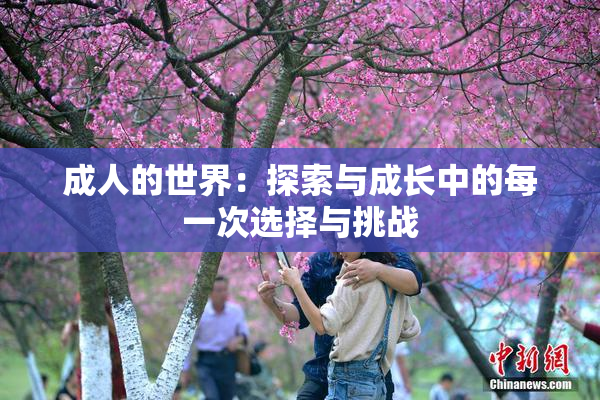 成人的世界：探索与成长中的每一次选择与挑战