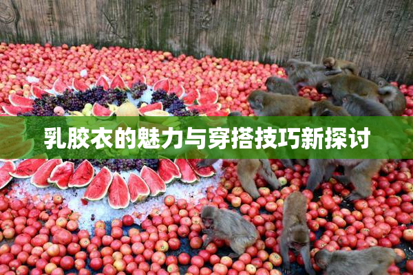 乳胶衣的魅力与穿搭技巧新探讨