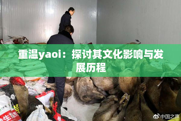 重温yaoi：探讨其文化影响与发展历程