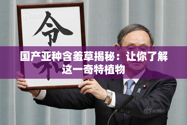 国产亚种含羞草揭秘：让你了解这一奇特植物