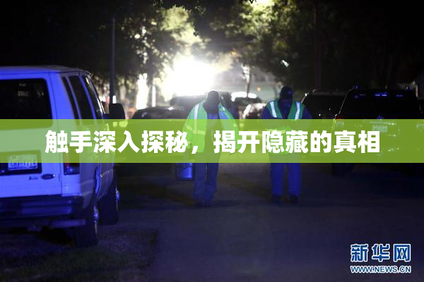 触手深入探秘，揭开隐藏的真相