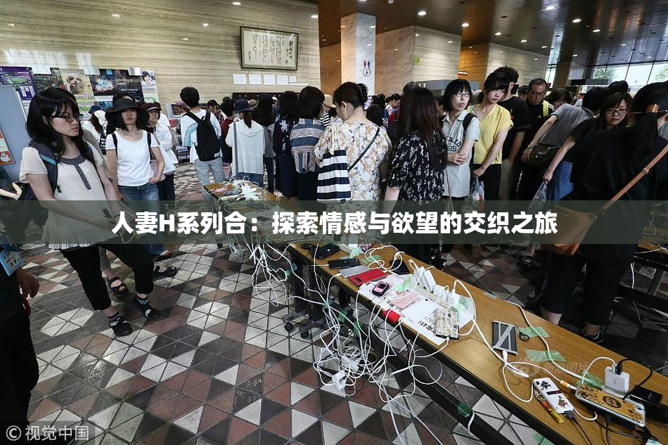 人妻H系列合：探索情感与欲望的交织之旅