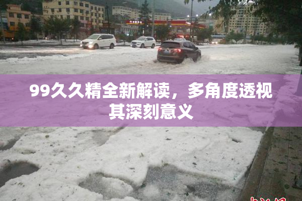 99久久精全新解读，多角度透视其深刻意义