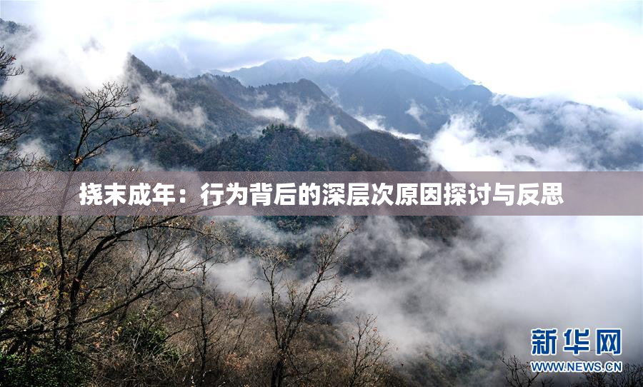 挠末成年：行为背后的深层次原因探讨与反思