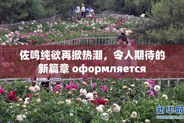 佐鸣纯欲再掀热潮，令人期待的新篇章 оформляется
