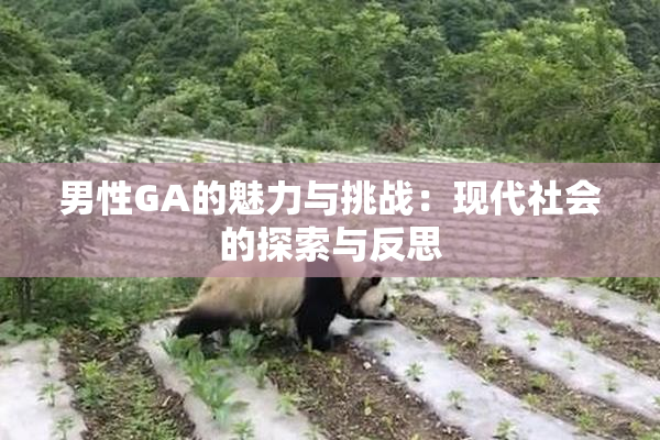 男性GA的魅力与挑战：现代社会的探索与反思