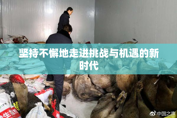 坚持不懈地走进挑战与机遇的新时代