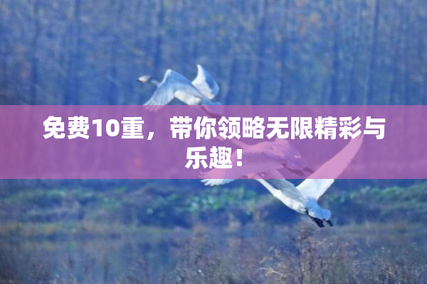 免费10重，带你领略无限精彩与乐趣！