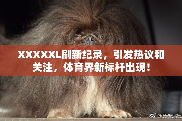 XXXXXL刷新纪录，引发热议和关注，体育界新标杆出现！