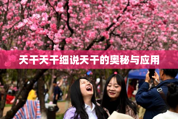 天干天干细说天干的奥秘与应用
