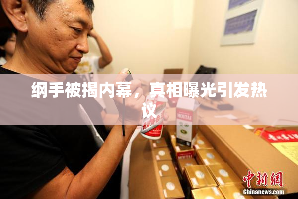 纲手被揭内幕，真相曝光引发热议