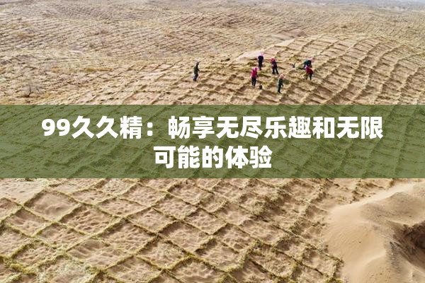 99久久精：畅享无尽乐趣和无限可能的体验