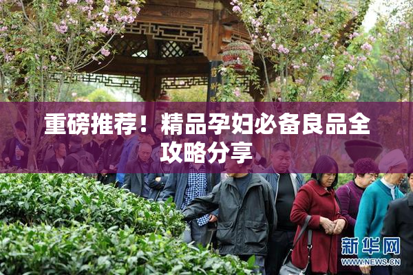 重磅推荐！精品孕妇必备良品全攻略分享
