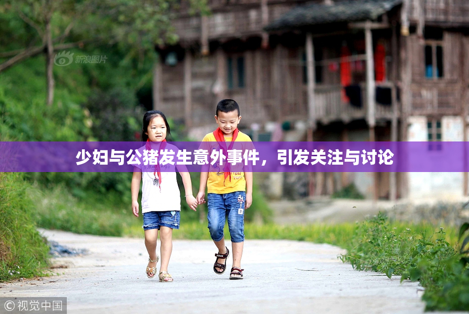 少妇与公猪发生意外事件，引发关注与讨论