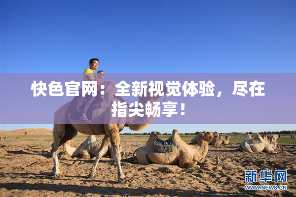 快色官网：全新视觉体验，尽在指尖畅享！