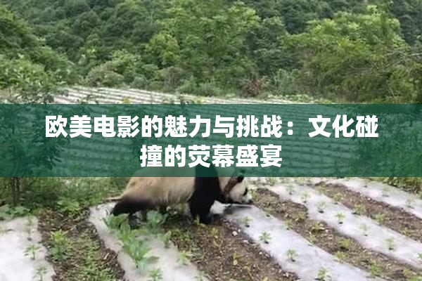 欧美电影的魅力与挑战：文化碰撞的荧幕盛宴