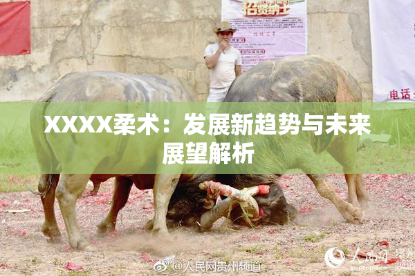 XXXX柔术：发展新趋势与未来展望解析