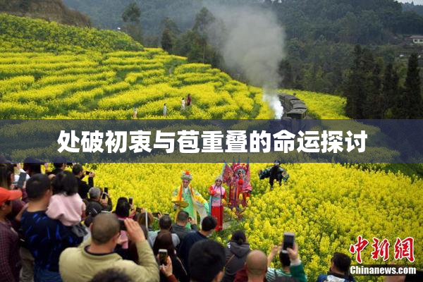 处破初衷与苞重叠的命运探讨