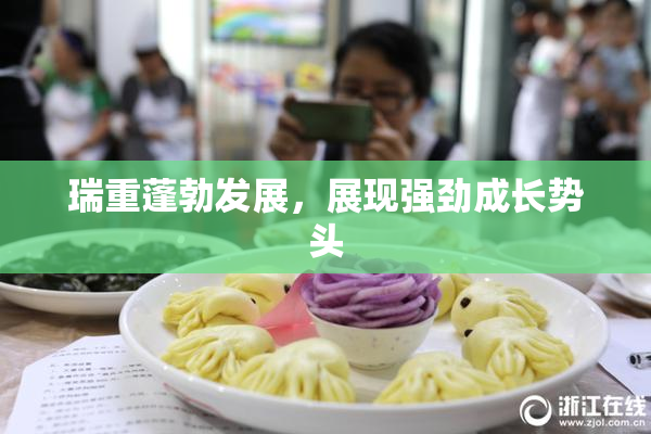 瑞重蓬勃发展，展现强劲成长势头