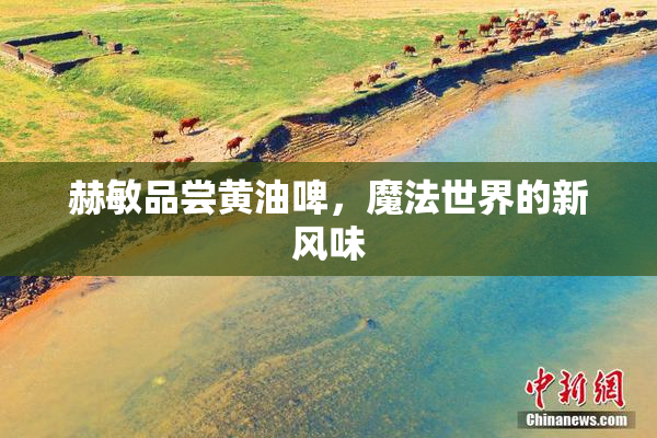 赫敏品尝黄油啤，魔法世界的新风味