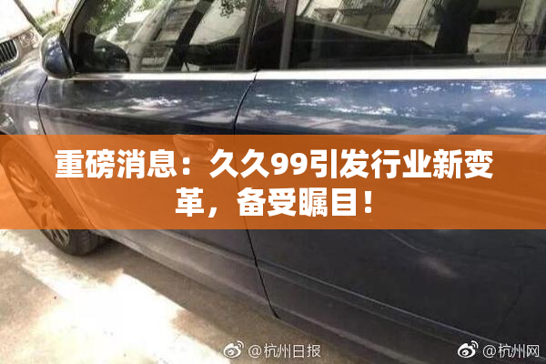 重磅消息：久久99引发行业新变革，备受瞩目！