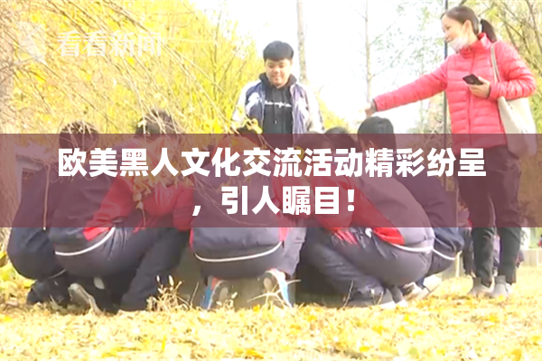 欧美黑人文化交流活动精彩纷呈，引人瞩目！