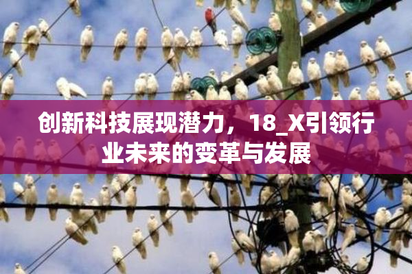 创新科技展现潜力，18_X引领行业未来的变革与发展