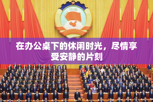 在办公桌下的休闲时光，尽情享受安静的片刻