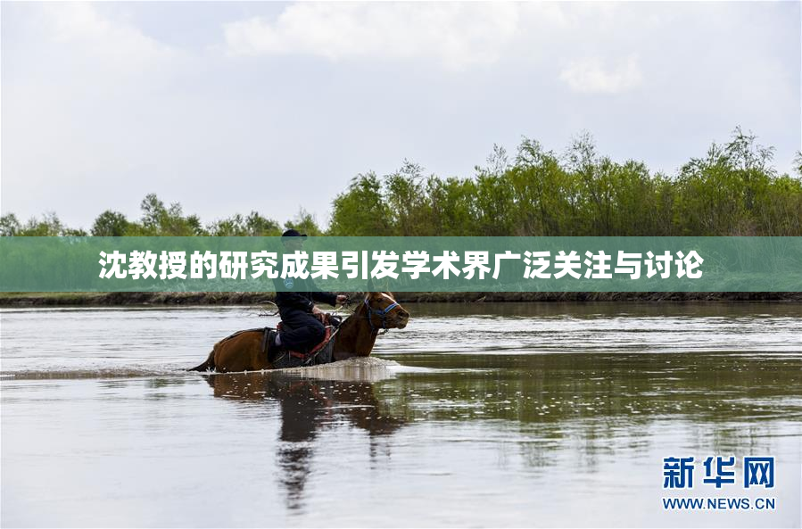 沈教授的研究成果引发学术界广泛关注与讨论