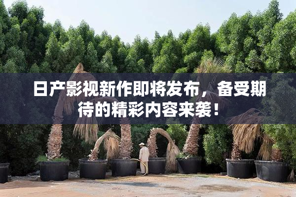 日产影视新作即将发布，备受期待的精彩内容来袭！