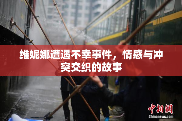 维妮娜遭遇不幸事件，情感与冲突交织的故事