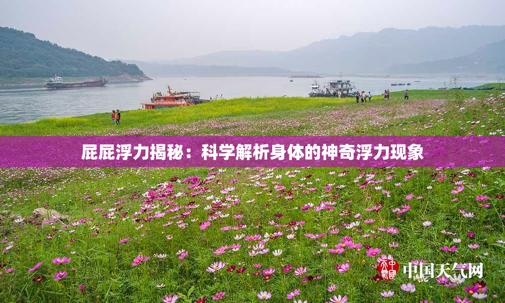 屁屁浮力揭秘：科学解析身体的神奇浮力现象