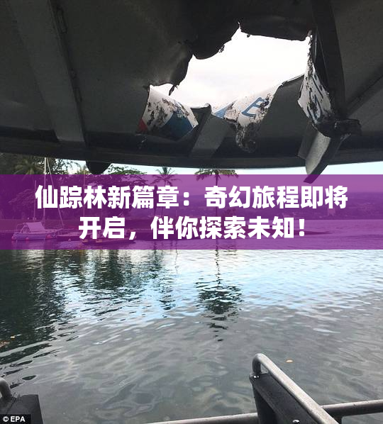 仙踪林新篇章：奇幻旅程即将开启，伴你探索未知！
