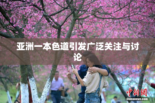 亚洲一本色道引发广泛关注与讨论